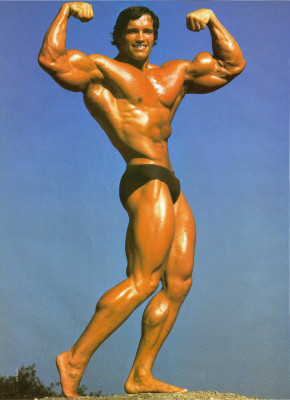 Arnold Schwarzenegger pic #86460